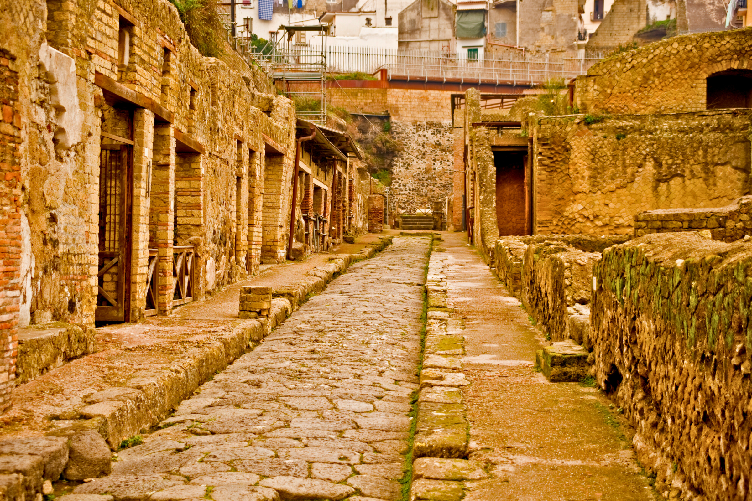 55 herculaneum.webp